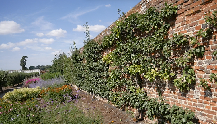 Victorian kitchen garden at Audley End Gardens in Essex.